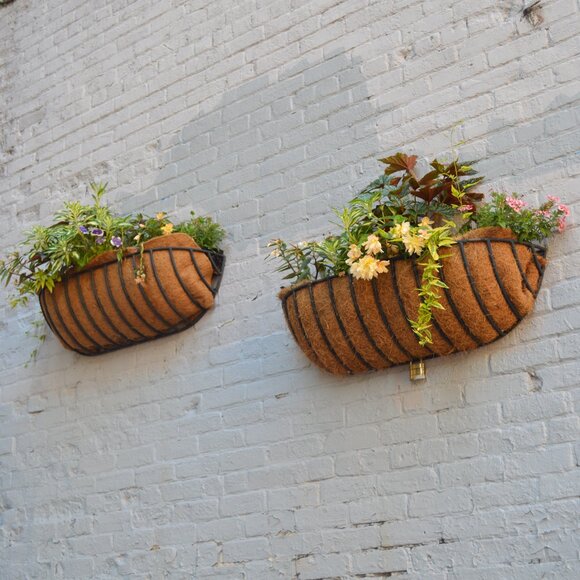 Meet your Posher, Franzi - Picture 1 of 1